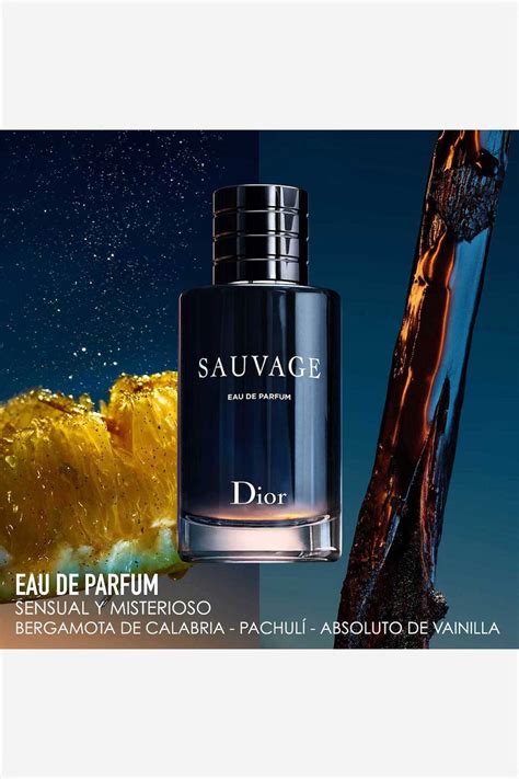 sauvage dior familia olfativa